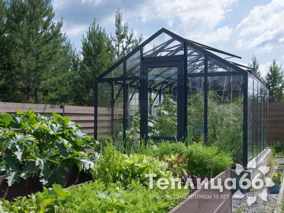 Теплица Рада Гарденикс 3 С (под стекло), ширина 3 м